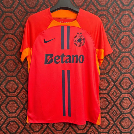 Steaua Bucarest Visitante 24-25