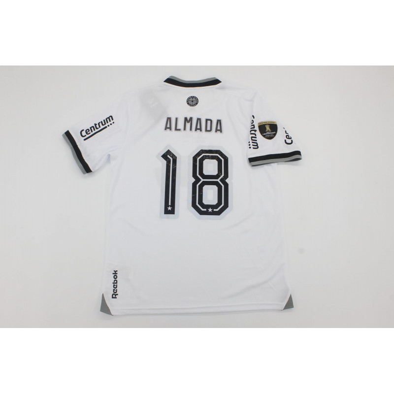 Botafogo Final Libertadores 2024